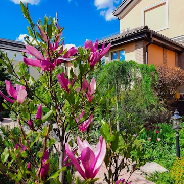 Рубин Эстейт